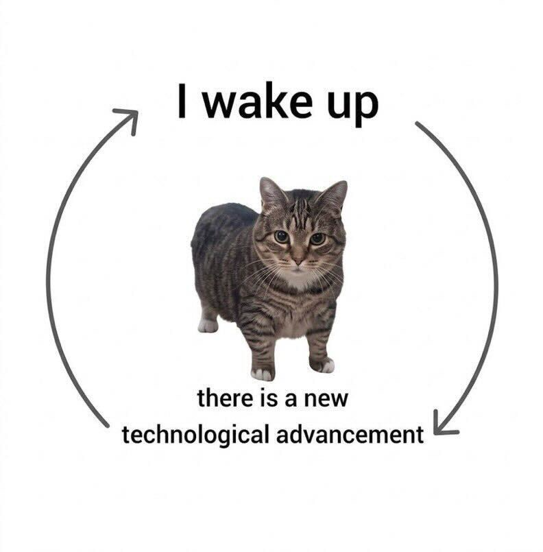 Cat meme about waking up to new AI advancements